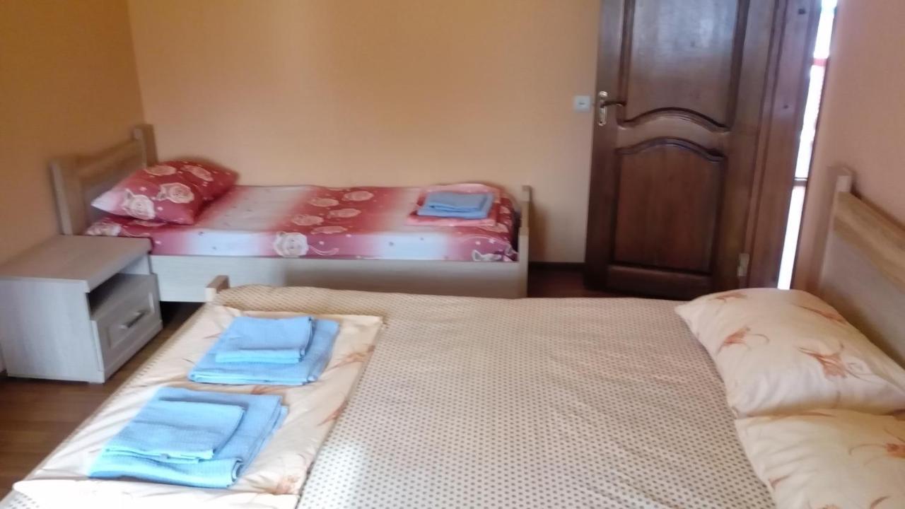 Guest House Rusalka コブレチ エクステリア 写真